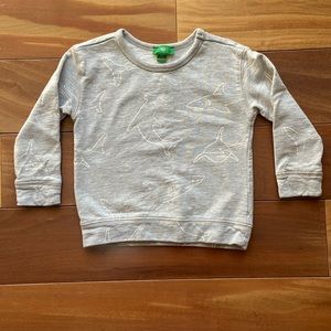 Dip Shark Sweatshirt 2T
